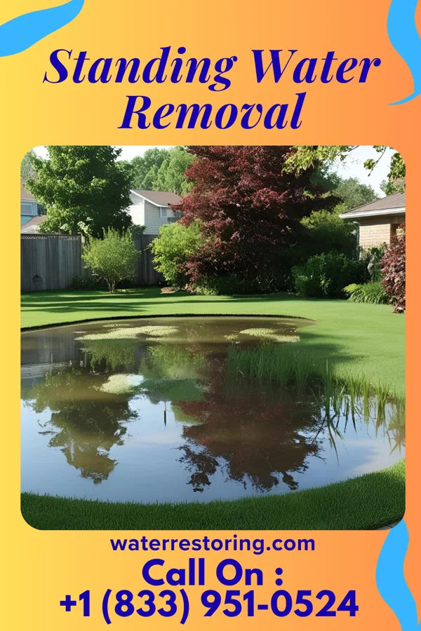 Standing Water Removal in Avon, IN
